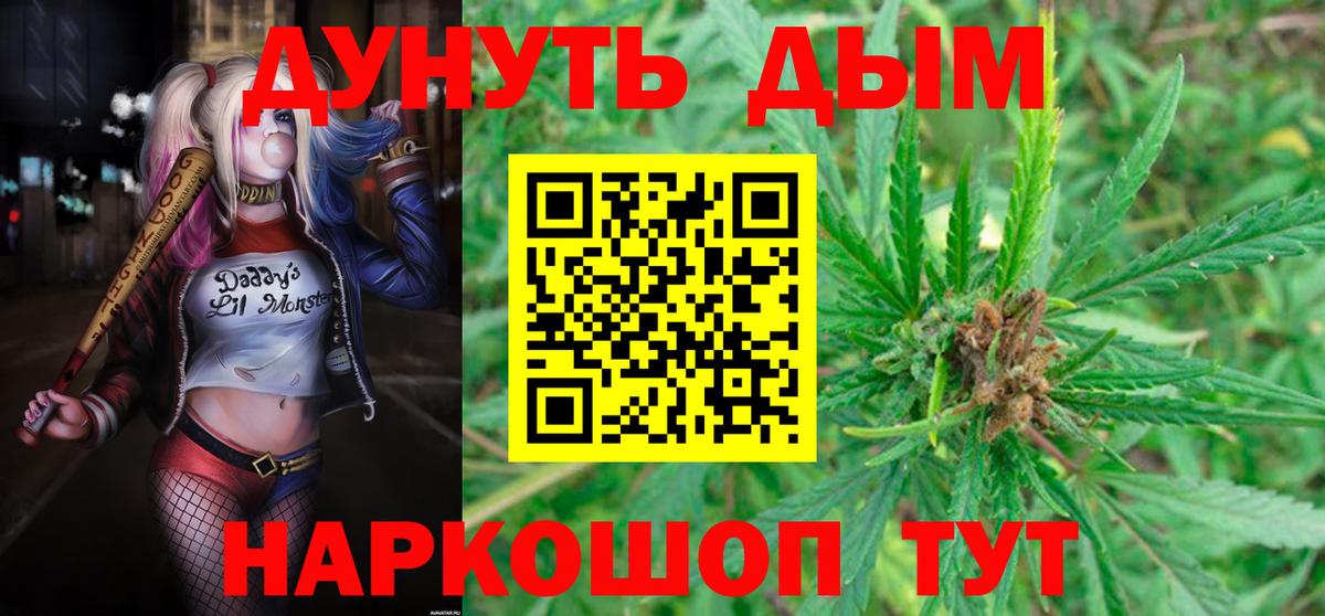 Бошки марихуана гибрид  Конопля конопля  Вход с VPN  Боровичи  МАРИХУАНА SATIVA & INDICA 